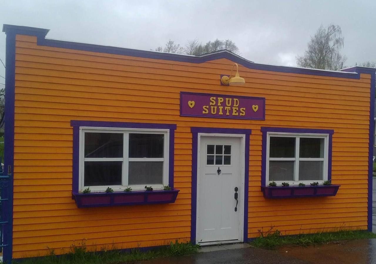 Spud Suites Deer Lake Bagian luar foto